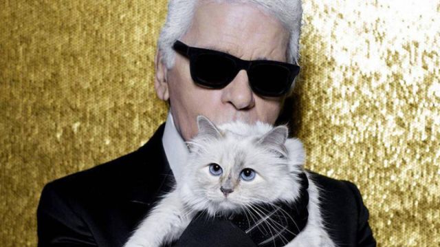 Conocé a Choupette, la gata que heredará la fortuna de Karl Lagerfeld