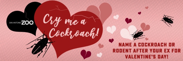 Zoológico te ofrece poner el nombre de tu ex a una cucaracha para celebrar San Valentín