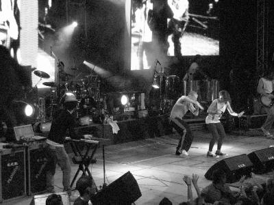 Concierto de Calle 13 Galería 3