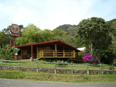 Sábado de Canopy