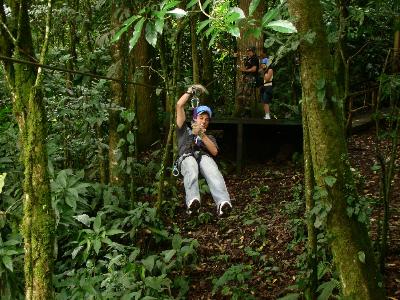 La Segunda Parte del Canopy La Carpintera