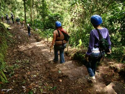 La Segunda Parte del Canopy La Carpintera